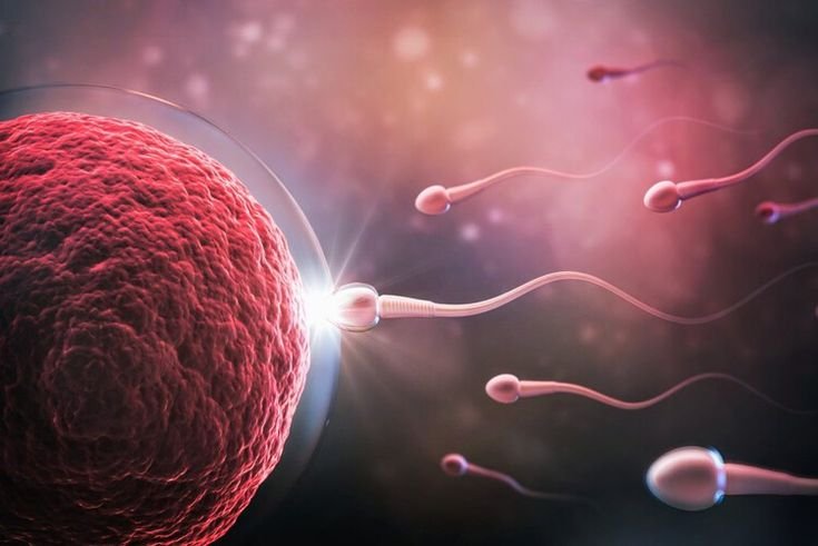 sains dalam Al Quran